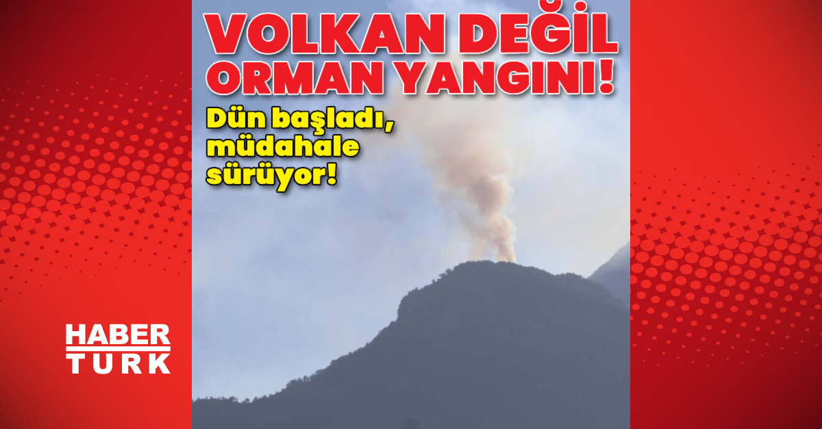 Volkan değil orman yangını!