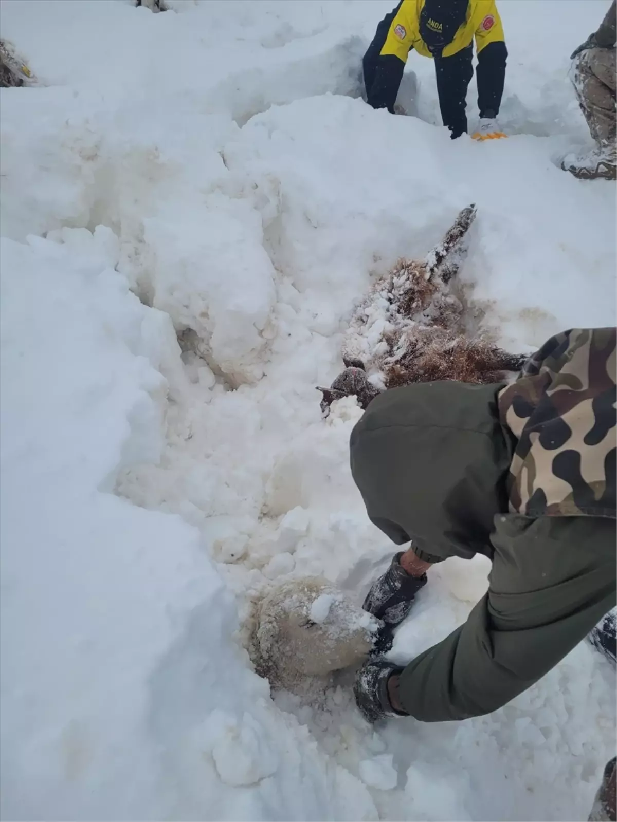 Kayseri’de Kaybolan Çoban Kurtarıldı